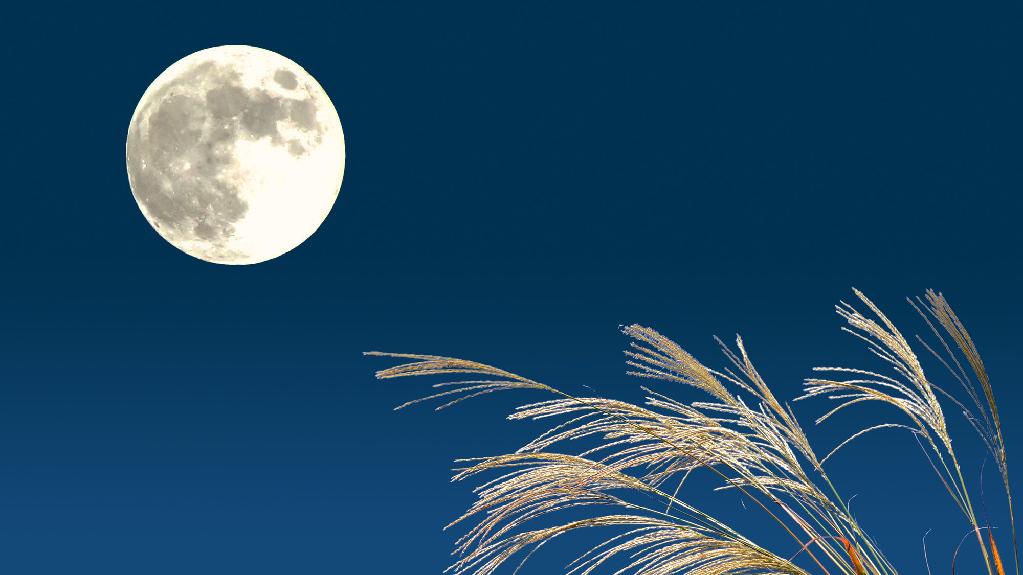 月見の十五夜、夜空に浮かぶ満月とすすき