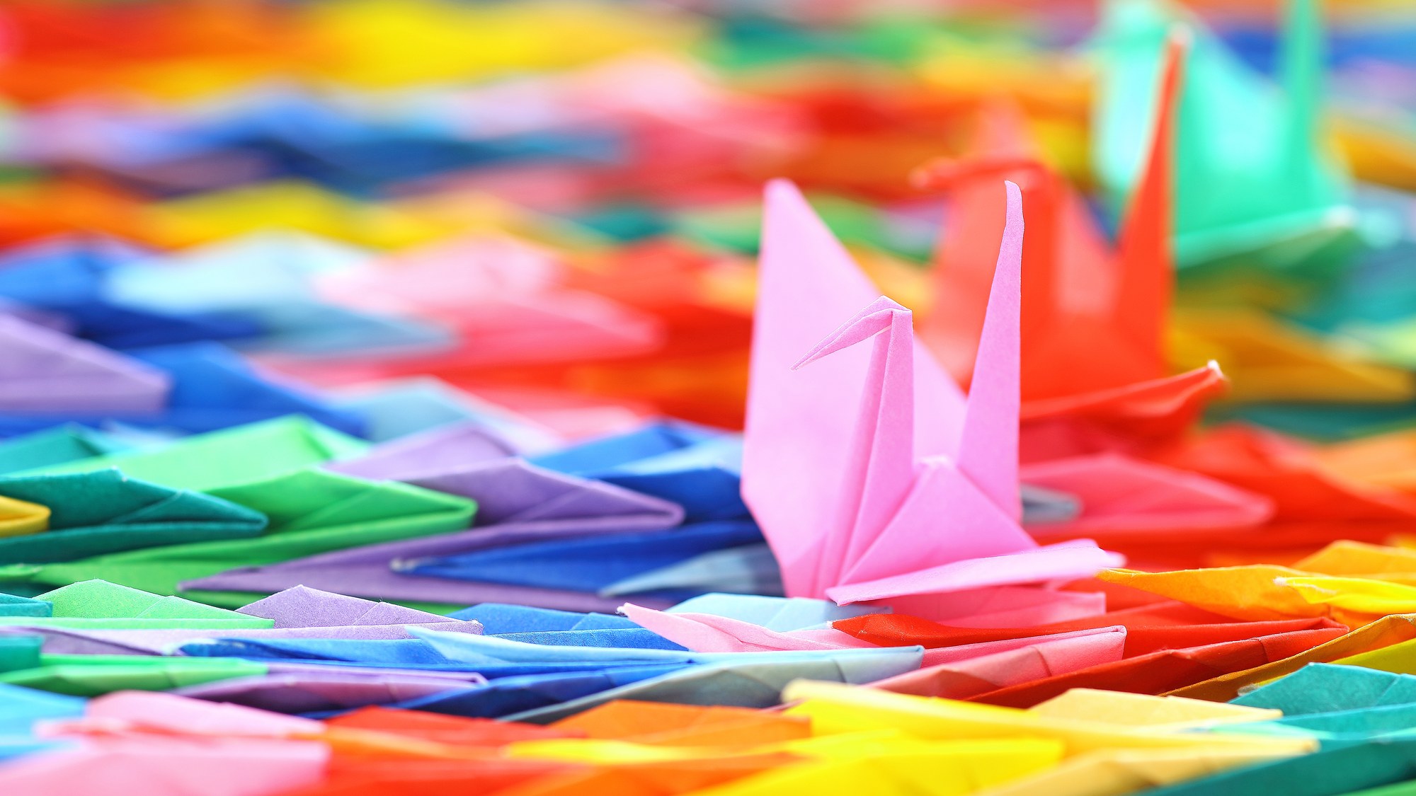 Senbazuru — the thousand paper cranes folded against impossible odds