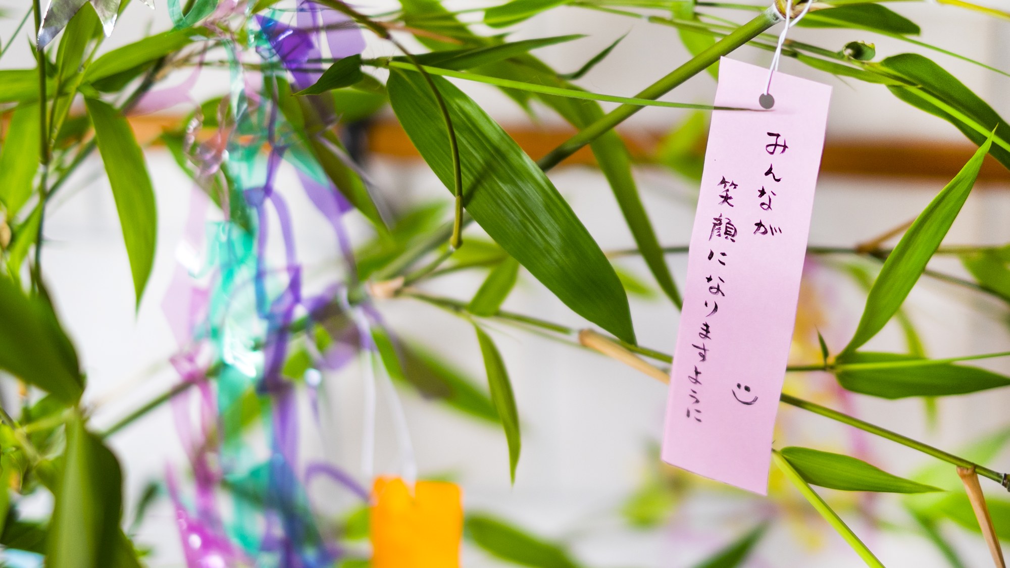Tanabata — the star festival of written wishes