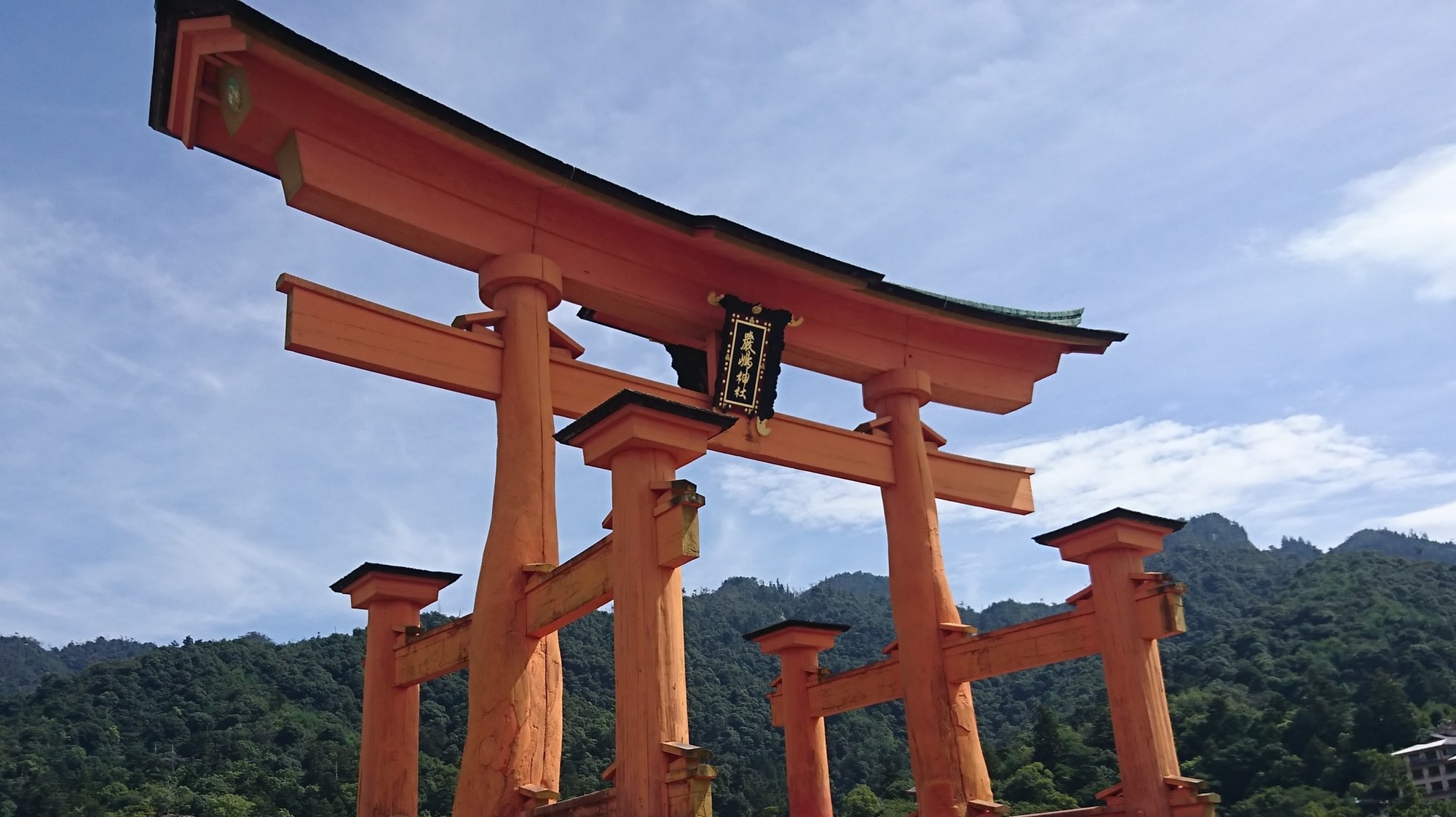 Torii — the gate that marks where the sacred begins