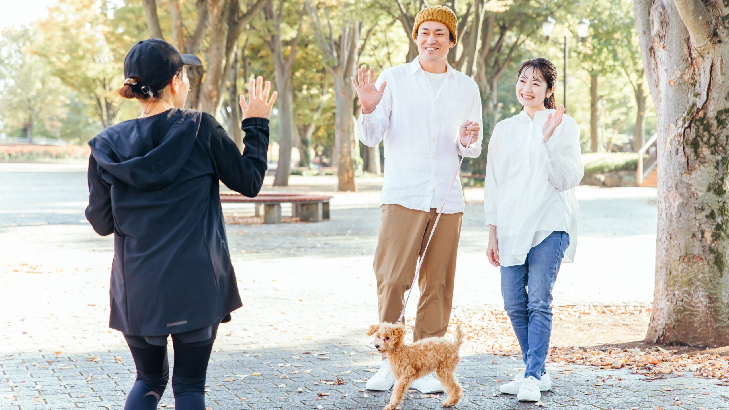 Konnichiwa — why hello only works between 11 a.m. and dusk