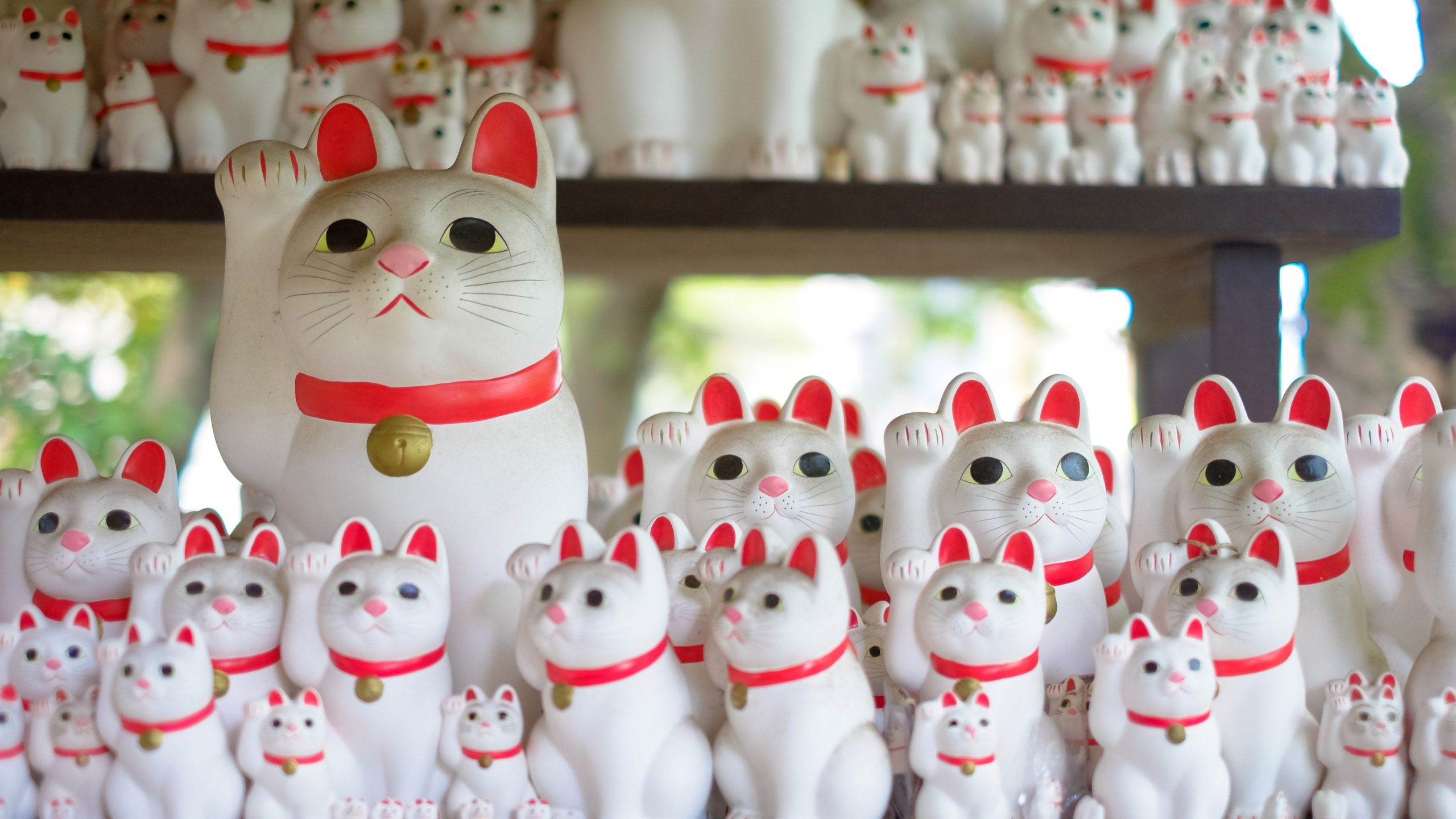 Maneki Neko — the gestures of the lucky cat decoded